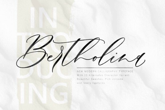 Bertholina Font Review: Modern Calligraphy for Campaigns