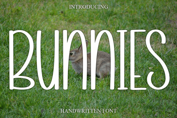 Bunnies Font: Adding Warmth to Your Brand Identity