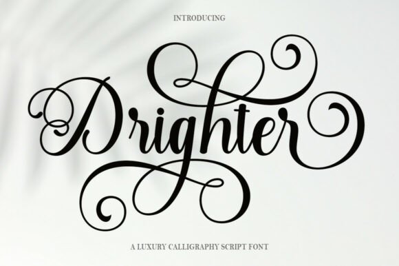 Drighter Font: A Web Designer’s Layout Review