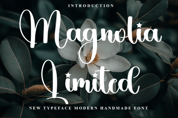 Magnolia Limited: A Designer’s Practical Review